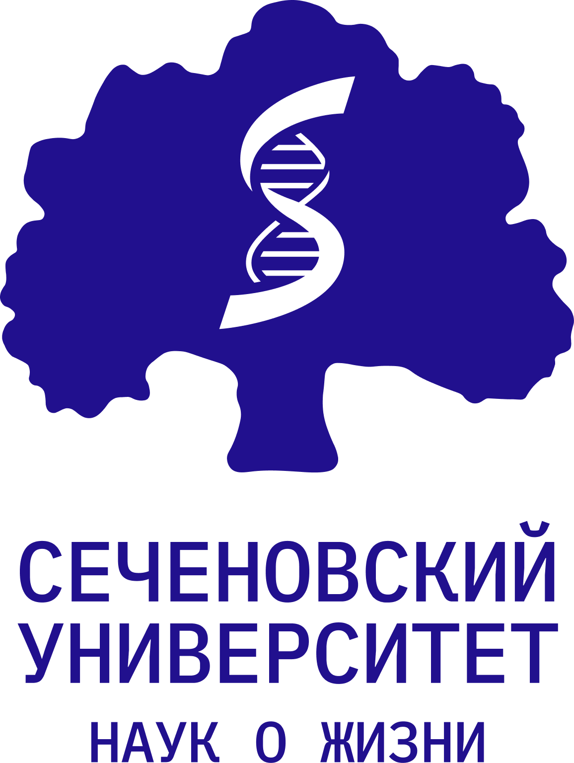 Цифровая кафедра